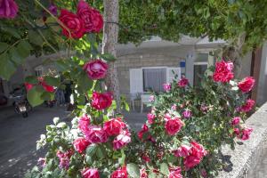 Apartment Tucepi 11486a 