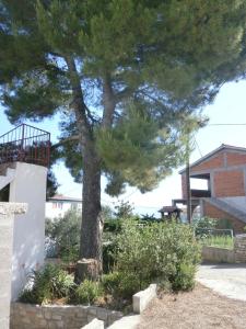 Apartments with parking space Stomorska, Solta - 11528