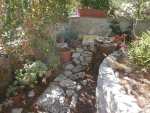 Apartments with parking space Stomorska, Solta - 11528