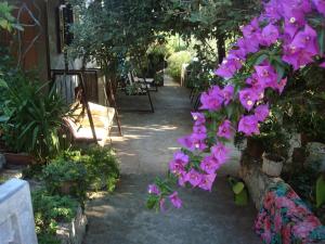 Seaside holiday house Sevid, Trogir - 11542