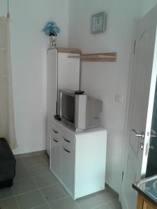 Apartments by the sea Zadar - 11507