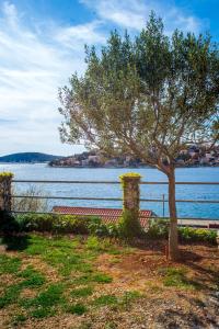 Apartments by the sea Zatoglav, Rogoznica - 11598