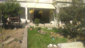 Apartments by the sea Petrcane, Zadar - 11555