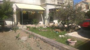 Apartments by the sea Petrcane, Zadar - 11555