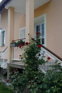 Holiday house with a parking space Smoljanac, Plitvice - 13741