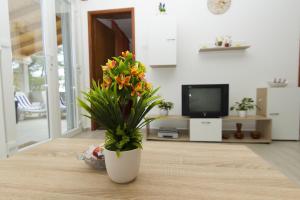 Seaside holiday house Cove Gradina, Korcula - 13803