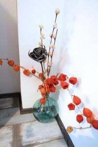 Apartments by the sea Vinjerac, Zadar - 13811