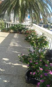 Apartments by the sea Zivogosce - Porat, Makarska - 13853