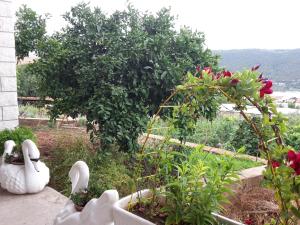 Apartments with a parking space Grebastica, Sibenik - 13860