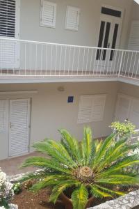 Apartments by the sea Podgora, Makarska - 13864