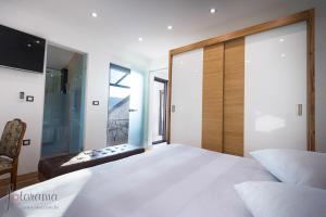 Luxury villa with a swimming pool Dolinci, Crikvenica - 13914