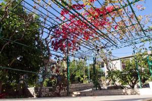 Apartments with a parking space Slatine, Ciovo - 13922