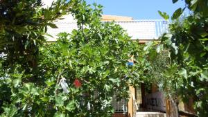 Studio Grebastica 13970a