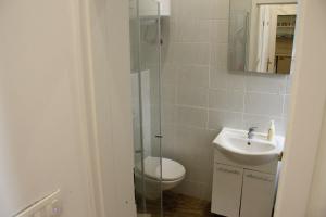 Apartments with WiFi Rijeka - 14061