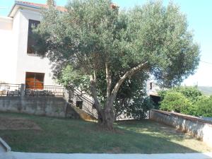 Studio Okrug Gornji 13859a