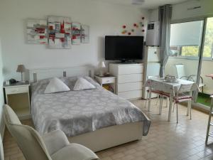 Appartements STUDIO CONFORT ET LUMINEUX avec LOGGIA ET PARKING : photos des chambres