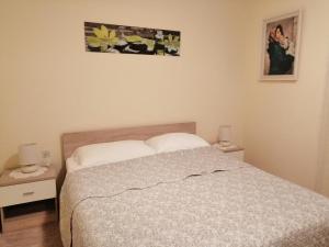 Apartments by the sea Lukoran (Ugljan) - 8397