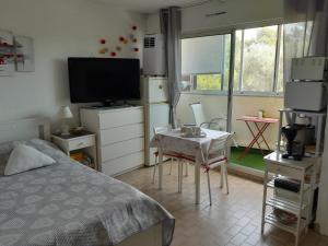 Appartements STUDIO CONFORT ET LUMINEUX avec LOGGIA ET PARKING : photos des chambres