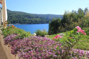 Apartments by the sea Slano, Dubrovnik - 8741