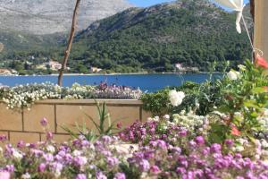 Apartments by the sea Slano, Dubrovnik - 8741