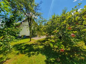 Tetmajera View & Garden