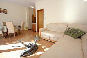 Apartments with a swimming pool Cavtat, Dubrovnik - 8829