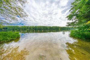 Domki nad Rozlewiskiem