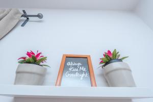 Family-friendly apartments with swimming pool Sutomiscica, Ugljan - 13872