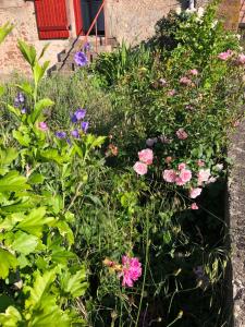 Les Rosiers