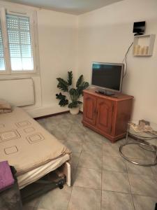 Appartements beautiful apartment with garden : photos des chambres