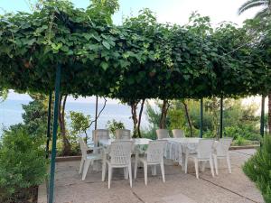 Apartments by the sea Zaostrog, Makarska - 10431