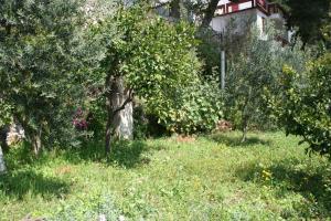 Apartments by the sea Zaostrog, Makarska - 10431