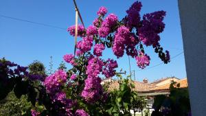 Apartments with a parking space Umag - 11488