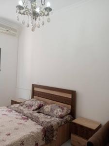 Kutaisi Center Apartment