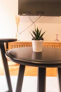 São Lázaros Garden - Apartment With Terrace