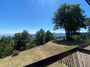Appartements Le Panorama - GITES MARCK : photos des chambres