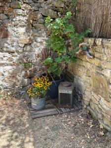 Appartements Le Patio, coeur de ville avec garage & jardin, gare a pied : photos des chambres