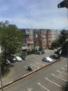 family studio cluj-napoca