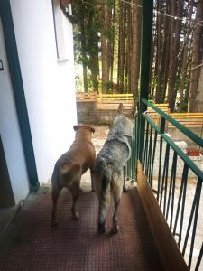 Perla della Sila B&B