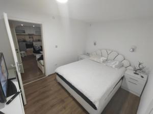 Biljas house