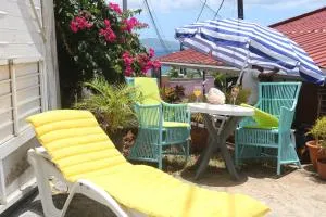 Bougainvilliers - Fond Bernier