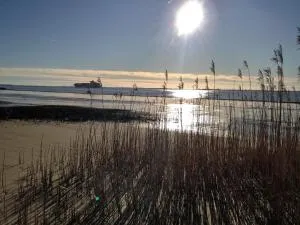 Ferienhaus am Elbdeich - Beidenfleth