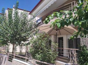 AVELLANA LUXURY SUITES