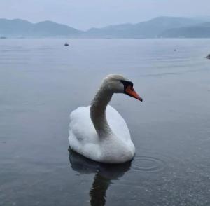 Smeštaj Zeka Tekija