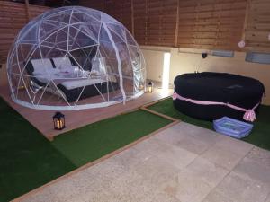 Tentes de luxe Bulle insolite Frejus : photos des chambres