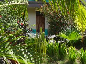 Hostal Harvest House