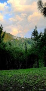 Cabaña La Vía Láctea