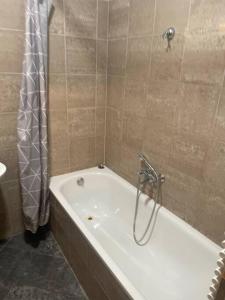 BDA Budapest Downtown Apartment H12