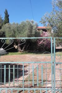 Apartments by the sea Cove Pogana, Cres - 14172 