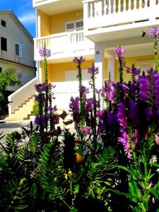 Apartments with parking space Supetarska Draga - Donja, Rab - 14169